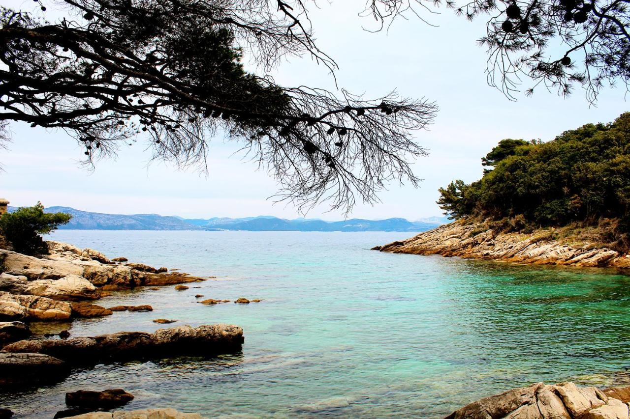 Marija Mljet Apartment Sobra